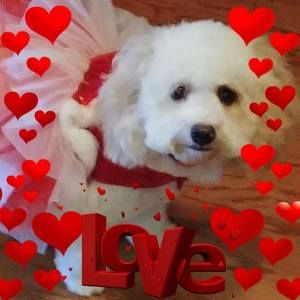 Meet your Posher, Vickie